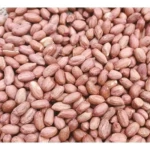 K3 Groundnuts (Kadiri 3 Groundnut Seeds)