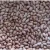 Import K3 Groundnuts (Kadiri 3 Groundnut Seeds) from India