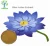 Import 100% natural blue lotus flower extract 10:1 5:1 from China