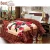 Import 100% polyester Golden Dove royal winter 6.5kg double ply korean style mink blanket for Qatar from China
