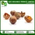 Import 100% Pure Dried Soap Nuts at Lowest Price from India