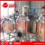 Import 1000l used red copper conical alcohol fermentation tank or fermentation equipment from China