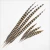 Import 140-150cm Reeves Pheasant Feathers from China