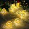 1.5M  10LED Hazelnut Acorn Pine Cone outdoor decorative Christmas LED Light String With USB or battery pick one of two