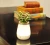Import 2 in 1 LED Bedside Table Lamp With Decorative Vase Holder Dimmable Table Lamp from China