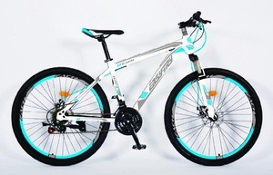 2019 new model wholesale mtb 26 inch steel mountain bike bicycle