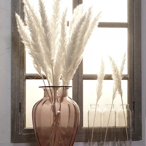 2020 Best Selling Wedding Decoration Dried Flower White Small Pampas Grass