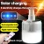 Import 2020 Portable 30W 60W 100W LED Solar Rechargeable Emergency Light Bulbs With Remote Control from China