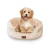 Import 2021 Hot Sale Plush Pet Dog Sofa Machine Washable Soft Dog Sofa Bed from China