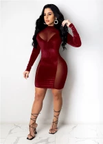 2021 new lady  see-through dress long sleeve mini dress