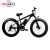 Import 26*4.0 big power Fat tire electric Mountain bike/Snow bike/electric bicycle with CE from China