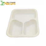 3 Compartment Tray Biodegradable Serving Tray Corn Starch Disposable Container for EV Market