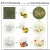 Import 3 Sets Embroidery Starter Kit Cross Stitch Kit Include 3 Embroidery Clothes with Floral Pattern Instructions And bamboo hoops from China