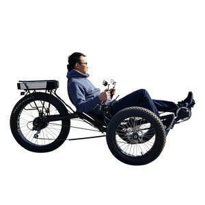 3 Wheel Adults Outdoor Sports Foldable Fat Tyre Recumbent Trike Electric Pedal Assist Drift Tricycle