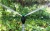 Import 360 degree rotation of plastic rocker nozzle Israel sprinkler lawn irrigation garden agricultural sprinkler from China