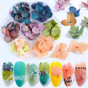 3D Nail Art Decoration Real Dry Dried Flower For UV Gel Acrylic Nail Art