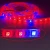 Import 5050 Dc 12v Led Strip Waterproof 5m 300 Led Plant Grow Light Strips Red:Blue 4:1 5:1 Aquarium Greenhouse for plant grow led lamp from China