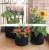 Import 5pcs 1 3 5 10 gallon fabric plant Grow Bags tree growing Pots garden Vegetable potato flower Planting Container Nursery pots bag from China