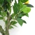 Import 60cm Custom lemon tree artificial ornamental plants artificial decorative from China