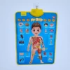 AG03 My Body Talking Poster Interactive Educational Human Anatomy Talking Game Toy System to Learn Body Parts