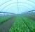 Import agricultural greenhouse plastic film from China