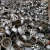 Import Aluminum Wheel Scrap /Aluminum Engine Block / Aluminum Tin Can Scrap from China