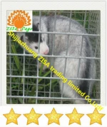 Animal Cage/Folding cage,folding house/mink cage