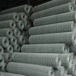 Anping Shengxin hot dipped galvanized weave chicken wire mesh