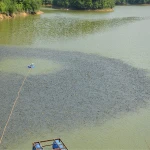 aquaculture surge aerator for fish farm equipment