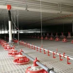 Automatic chicken feed fan for broiler poultry equipment
