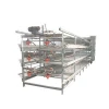 Automatic H type broiler chicken cage for Pakistan farms