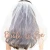 Import bachelorette hen party bride to be veil for wedding party from China