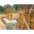 Import Basic wall formwork concrete shear wall formwork system from China