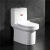 Import Bathroom Ceramic Dual Flush Closestool WC Toilet with Tank from China