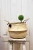 Import Belly seagrass storage basket/ N laundry seagrass baskets from Vietnam