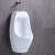 Import Best Price Urinal Ceramic Water Closet China Urinal Wall Hang urinal system from China