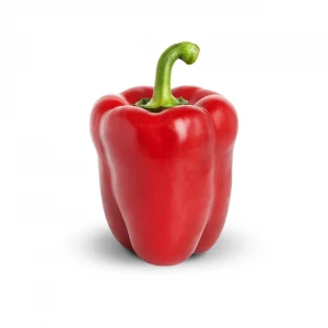 Best Quality Colorful Fresh Capsicum ,Yellow green and Red capsicum,Fresh Capsicum Pepper