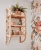 Import Best Selling Square Rattan Wall Shelf for Indoor Decoration Shelf With Wood and Rattan Design Basic Style Made In Vietnam from China