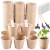 Import biodegradable transplanter pulp paper flower plant peat pots tray planting pot from China