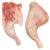 Import Bulk Chicken Thighs quarter legs for sale from Brazil