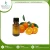 Import Bulk Supplier Sweet Orange Oil at Lowest Price from China