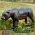 Import CET-A 393 Jungle animals animatronic simulation animal models lion statue for museum from China