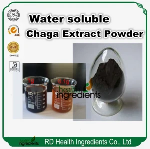 Chaga mushroom extract 20% for diabetes good soluble in water