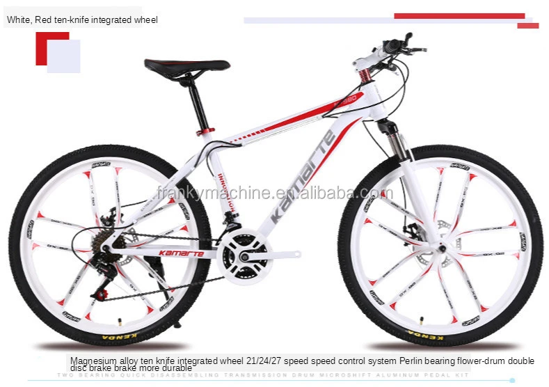 China Big Factory Good Price Disc brake roller street frame bicycle