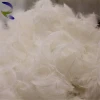 China factory 2-4cm hot sale duck down feather washed white duck feather
