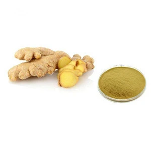 China Factory Supply Organic Ginger Root Extract/ Green Healthy Ginger Extract