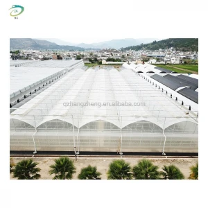 China glass greenhouse, venlo greenhouse, multi-span film greenhouse