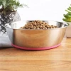 China supplier colorful high quality dog bowl