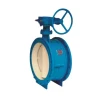 China Supplier DN50 Turbine Telescopic Flange Butterfly Valve Carbon Steel Turbine Telescopic Flange Butterfly Valve