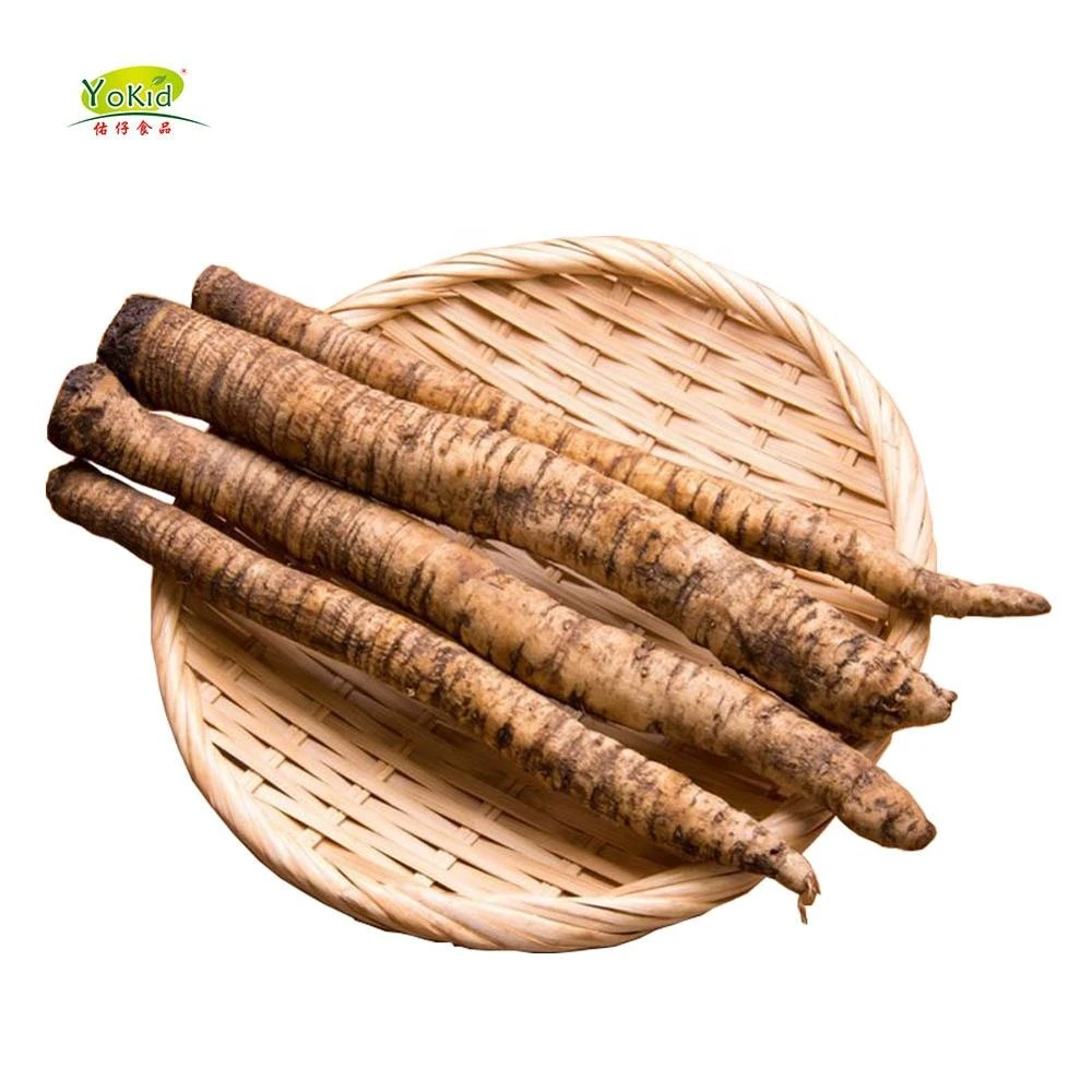 Chinese New Crop Shandong Fresh Burdock Root Price With Good Price